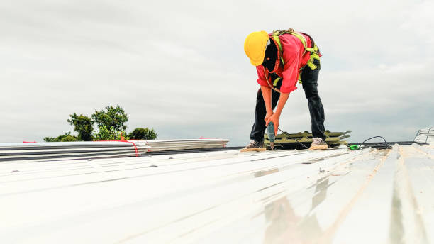 Best Roof Moss and Algae Removal  in Jamesburg, NJ